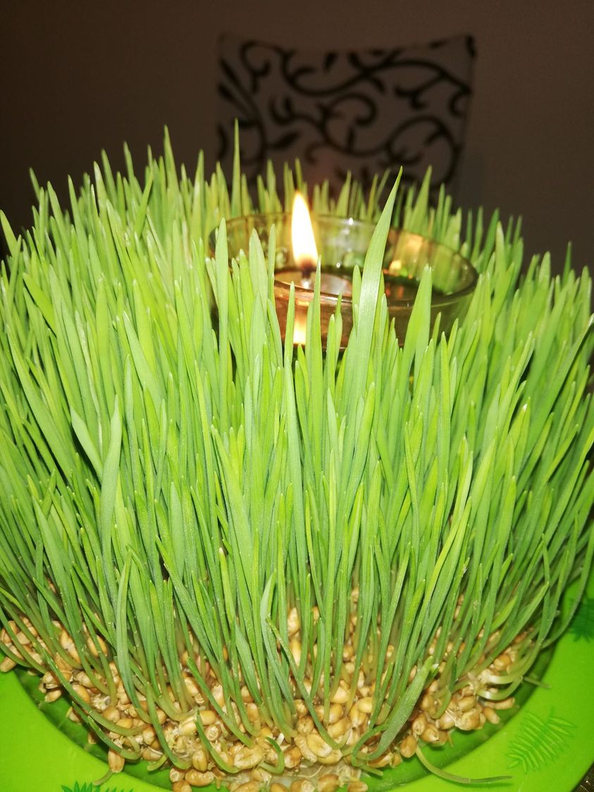 271586736_10221917519539637_4485127325574651298_n