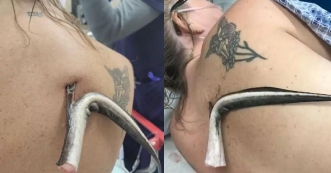 f_30200931_1280-1068x559