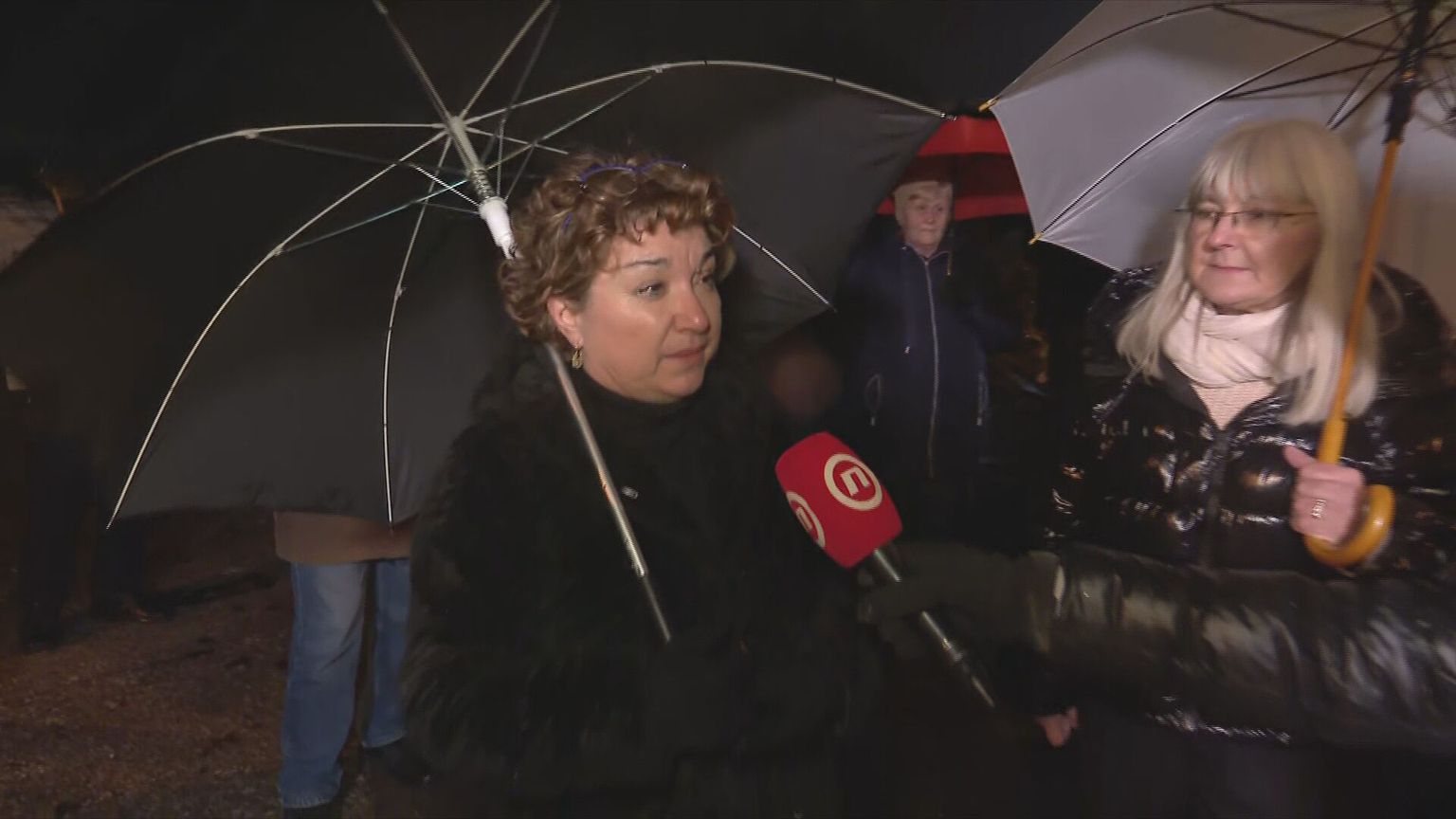 62692069-bozena-hader