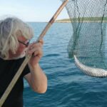 Najotrovnija riba na svijetu pojavila se u hrvatskom Jadranu, jednu su i ulovili: Njezin otrov može ubiti!
