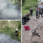 FOTO Nevjerojatno! Netko kod Valpova na 50 mjesta zapalio šumu. Policija lovi piromana?