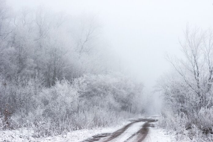 snijeg nature-2573587_1280