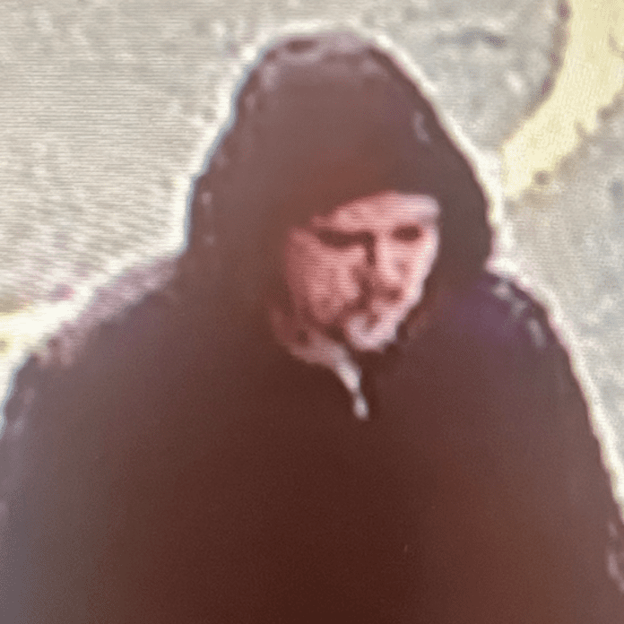 slika_2025-03-04_145628449