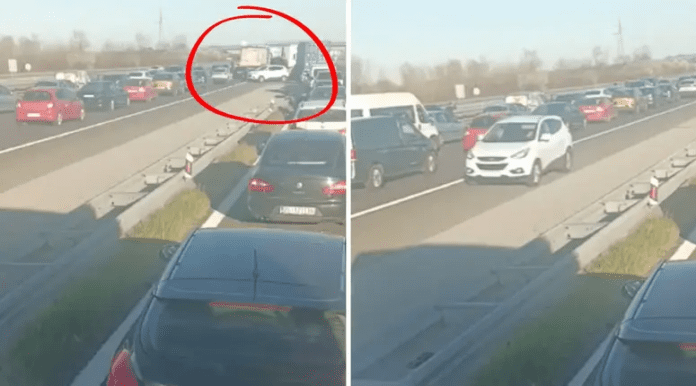 slika_2025-03-21_111101123