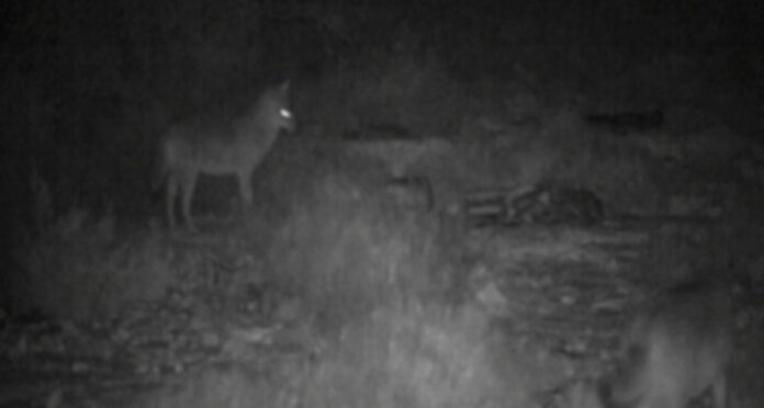 9b4a8618-09d8-447f-b733-c8d10d82f3fd