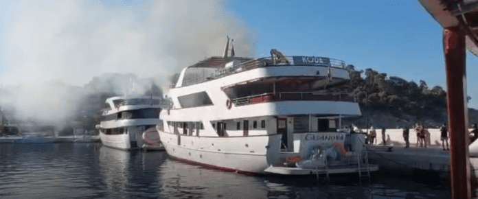 slika_2025-07-22_130635617