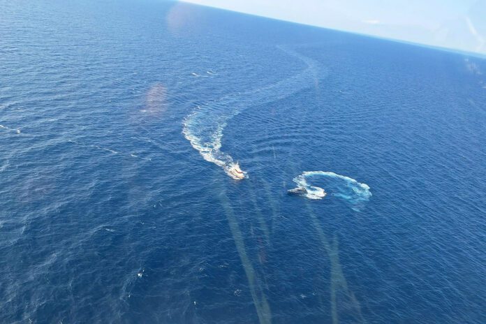 54703974271_f23763fa0d_b