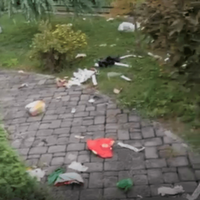 slika_2025-08-27_101549284