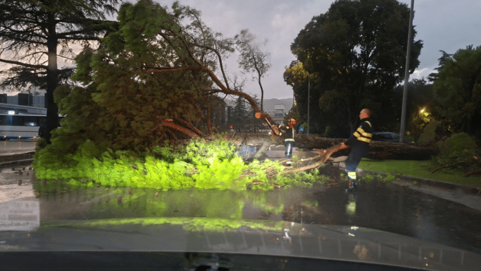 dalmacija kisa vatrogasci