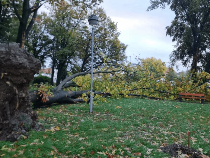 slika_2025-10-24_111412313