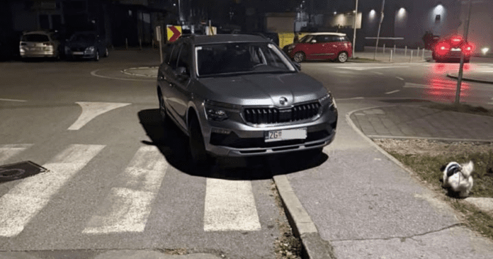 image_2025-11-14_115128887