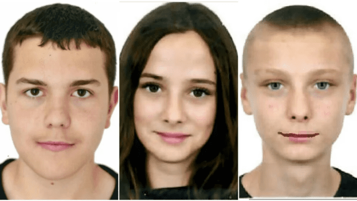 image_2025-11-14_120653840