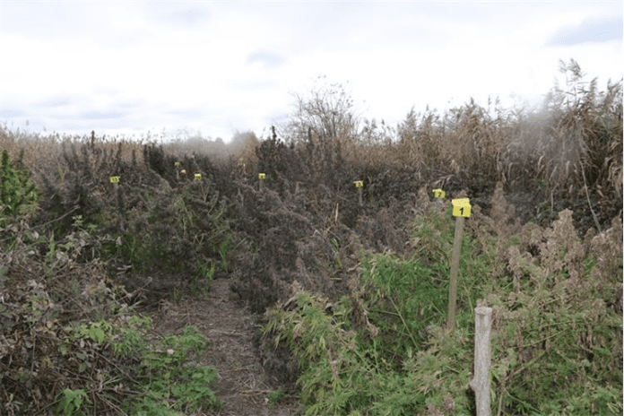 slika_2025-11-10_154946502