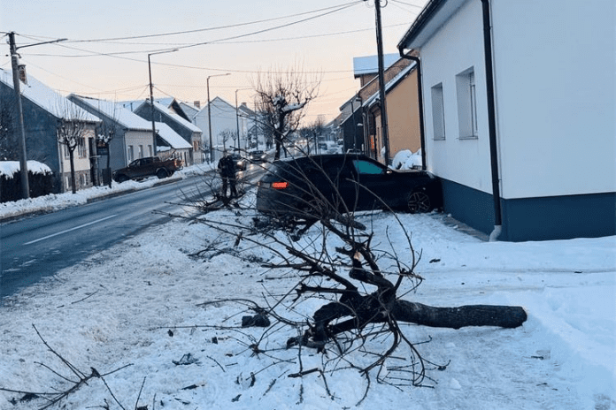 slika_2026-01-09_111051623