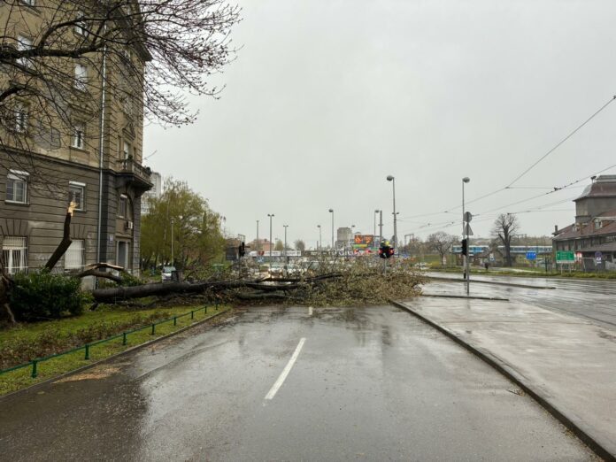 1774594422_779bd0bf-c154-4d24-aa83-ef301622e82d