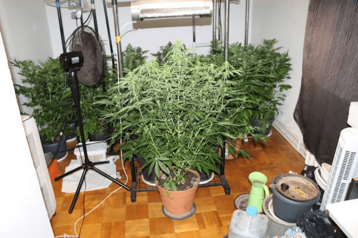 slika_2026-03-25_145615711