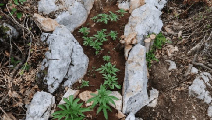 slika_2026-06-18_122959010