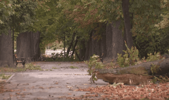 park suma osijek